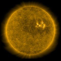 Image of Sun's corona