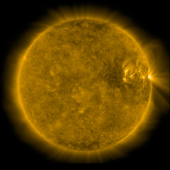 Image of Sun's corona