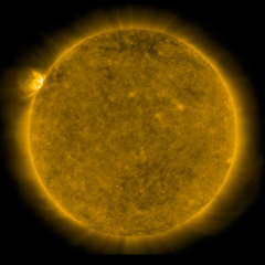 Image of Sun's corona