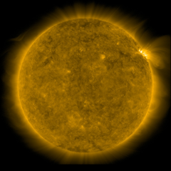 Image of Sun's corona