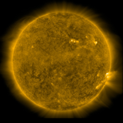 Image of Sun's corona