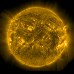 Image of Sun's corona