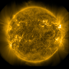 Image of Sun's corona