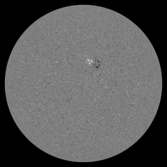 Image of Sun's magnetic field