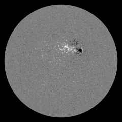 Image of Sun's magnetic field