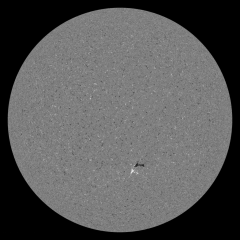 Image of Sun's magnetic field