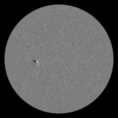 Image of Sun's magnetic field