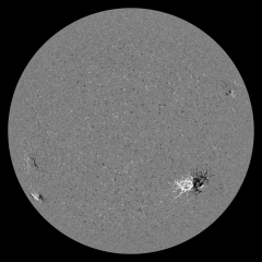 Image of Sun's magnetic field