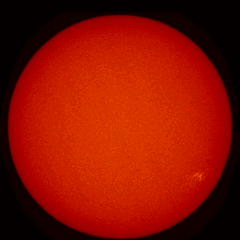 Image of Sun's chromosphere