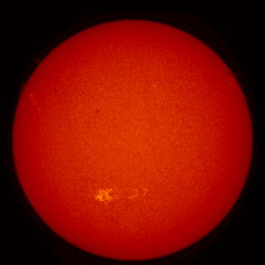 Image of Sun's chromosphere