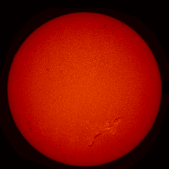 Image of Sun's chromosphere