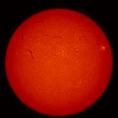 Image of Sun's chromosphere