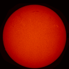 Image of Sun's chromosphere