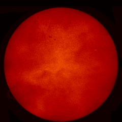 Image of Sun's chromosphere