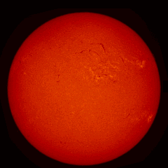 Image of Sun's chromosphere