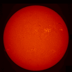 Image of Sun's chromosphere