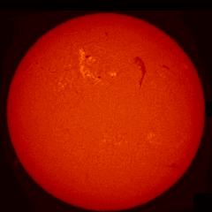 Image of Sun's chromosphere