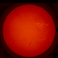 Image of Sun's chromosphere