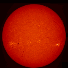 Image of Sun's chromosphere