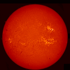 Image of Sun's chromosphere