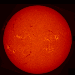 Image of Sun's chromosphere