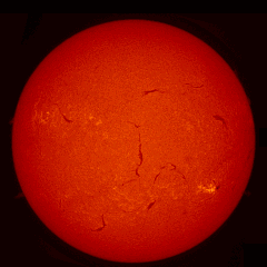 Image of Sun's chromosphere