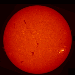 Image of Sun's chromosphere