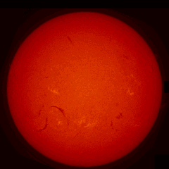 Image of Sun's chromosphere