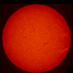 Image of Sun's chromosphere