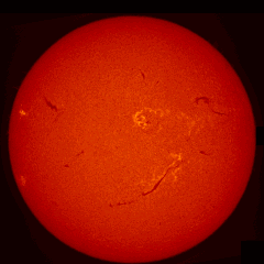 Image of Sun's chromosphere