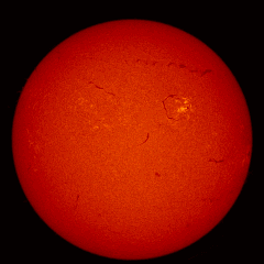 Image of Sun's chromosphere