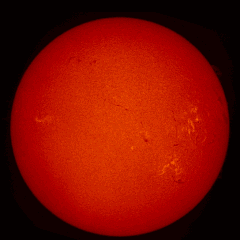 Image of Sun's chromosphere