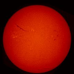 Image of Sun's chromosphere