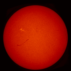 Image of Sun's chromosphere