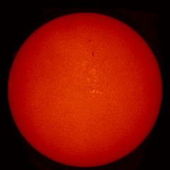 Image of Sun's chromosphere