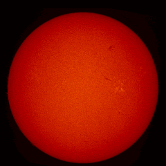 Image of Sun's chromosphere