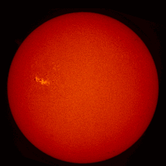 Image of Sun's chromosphere