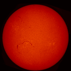 Image of Sun's chromosphere