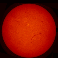 Image of Sun's chromosphere