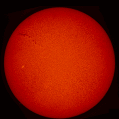 Image of Sun's chromosphere