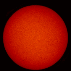 Image of Sun's chromosphere