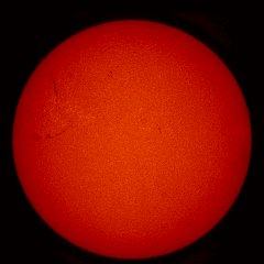 Image of Sun's chromosphere