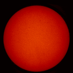 Image of Sun's chromosphere