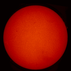 Image of Sun's chromosphere