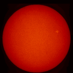 Image of Sun's chromosphere