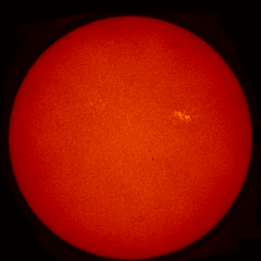 Image of Sun's chromosphere