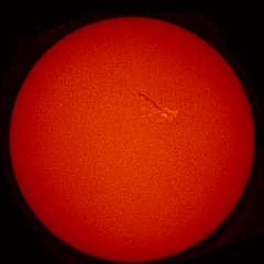 Image of Sun's chromosphere