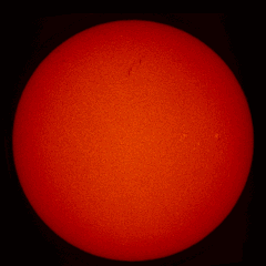 Image of Sun's chromosphere