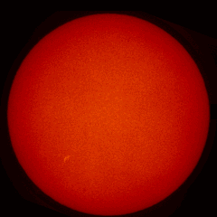 Image of Sun's chromosphere