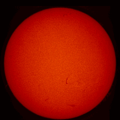 Image of Sun's chromosphere